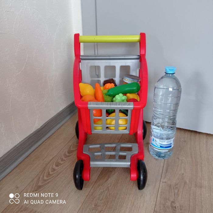 Caddie en plastique - photo numéro 3
