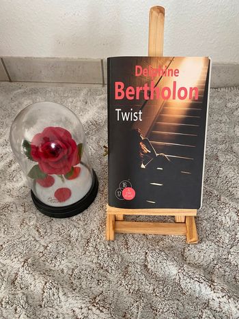 Livre Twist de Delphine Bertholon