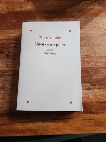 Livre : Miroir de nos peines