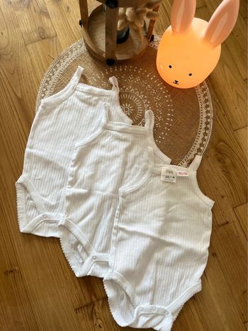 Lot body