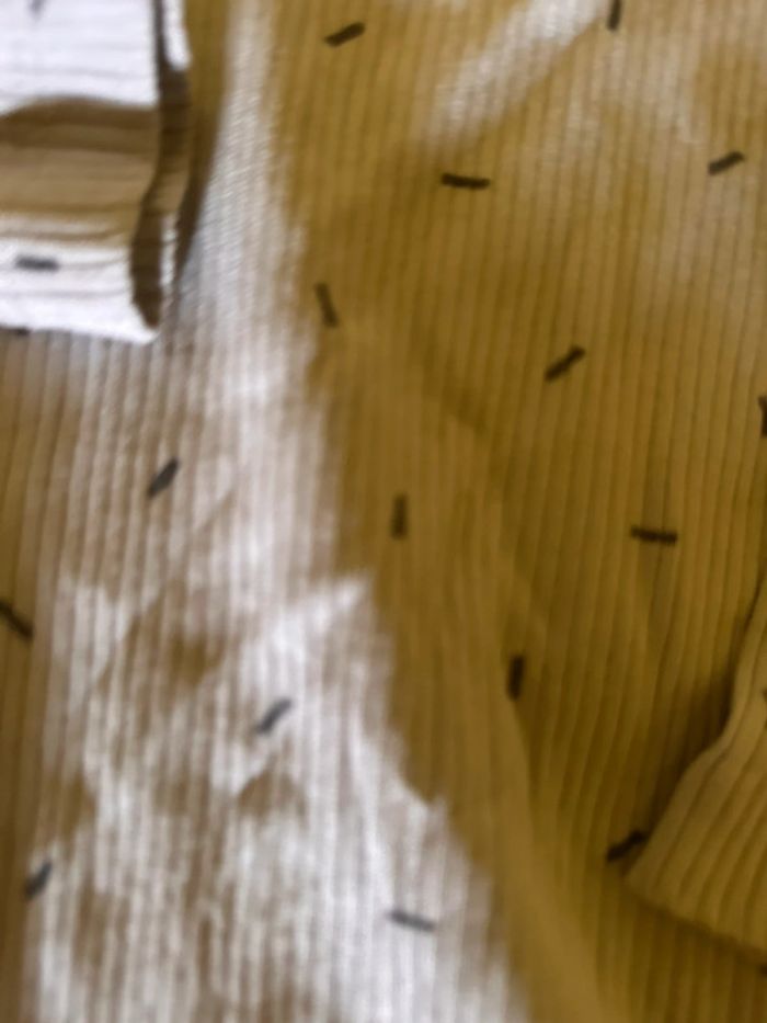 Grenouiller Zara 86 - photo numéro 2