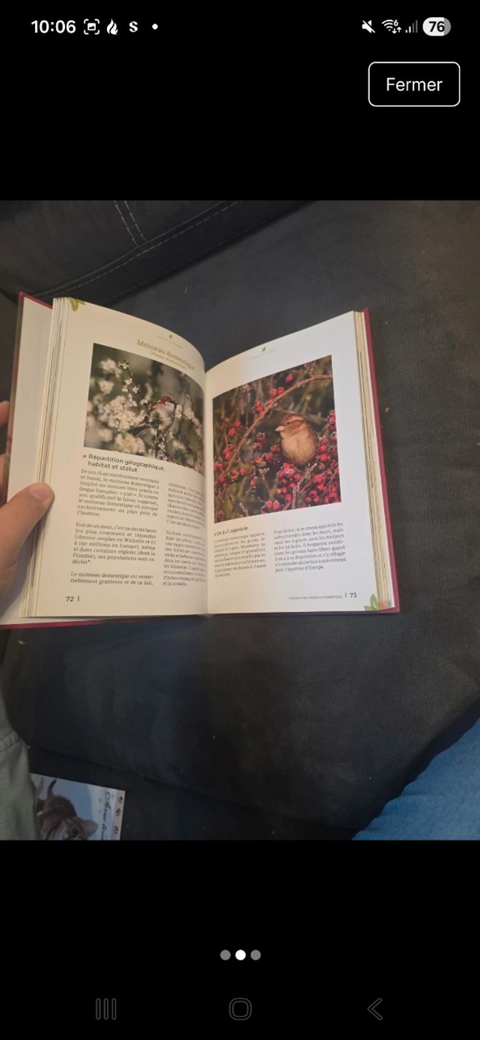 Jardin à plume - photo numéro 3