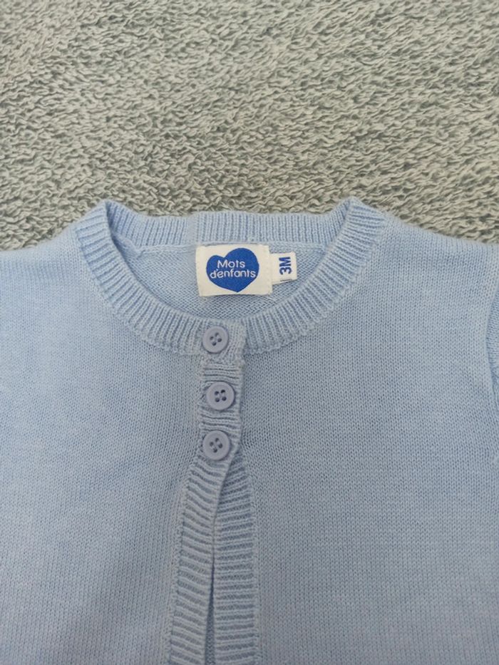 Gilet bleu ciel 3 mois - photo numéro 2