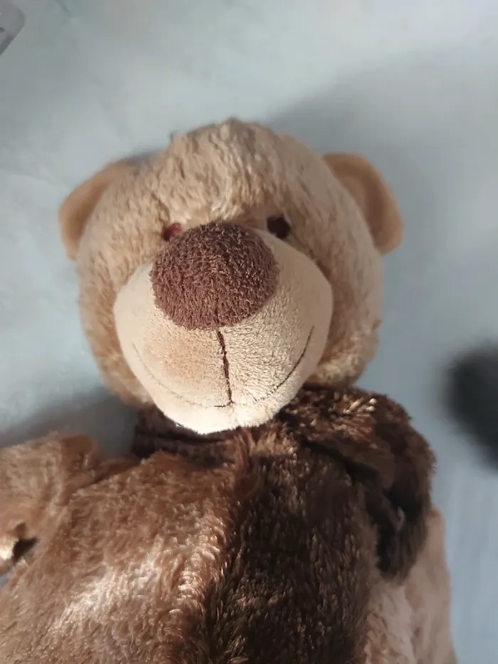 Ours en peluche - photo numéro 2