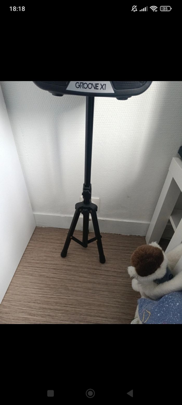 Enceinte sur pied - photo numéro 8