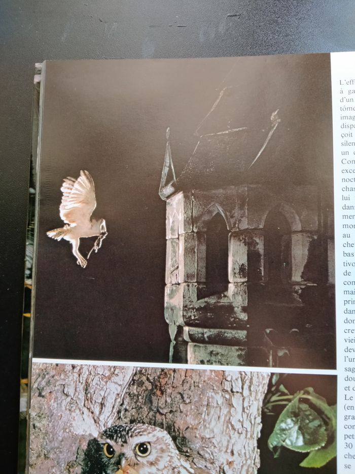 Livre La passion des oiseaux - photo numéro 9
