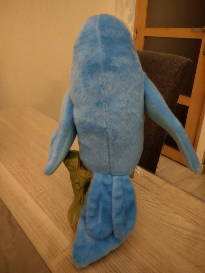 Perroquet parlant - photo numéro 3