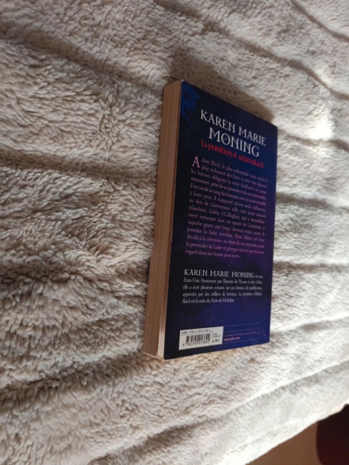 La punition d'Adam Black - photo numéro 3