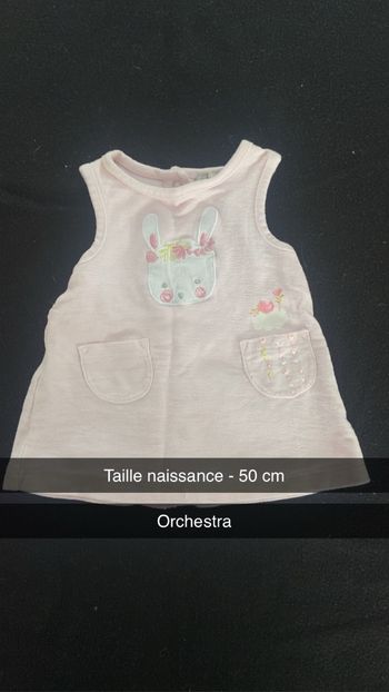 Robe courte