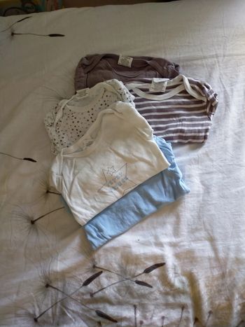 Lot de 5 bodys 12 mois