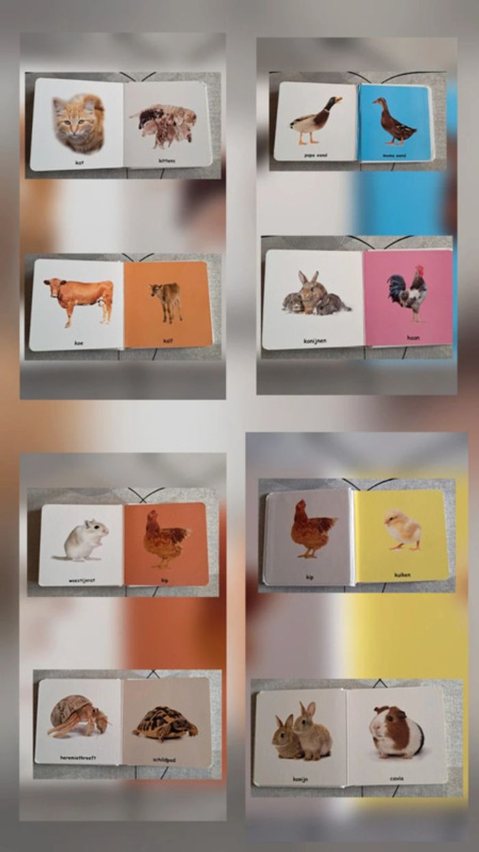 Lot 5 livres pour bébé - photo numéro 18