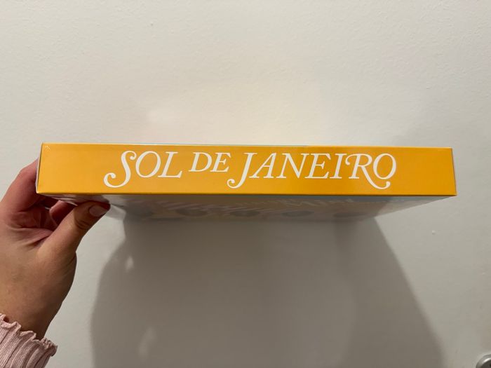 Brumes sol de Janeiro - photo numéro 3
