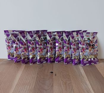 Playmobil Figures série 17