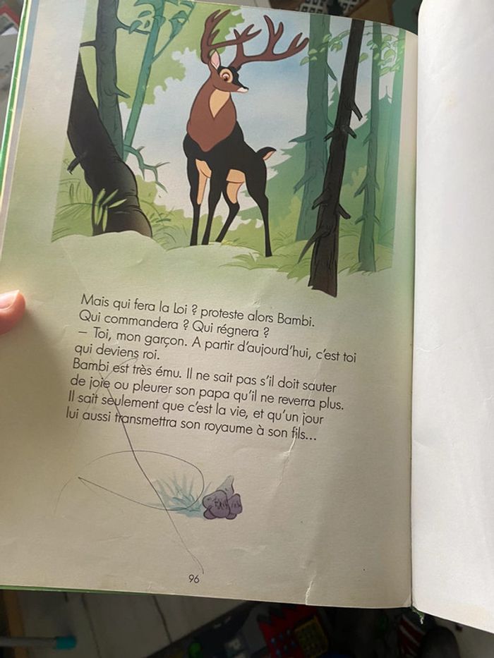 Livre bambi - photo numéro 4