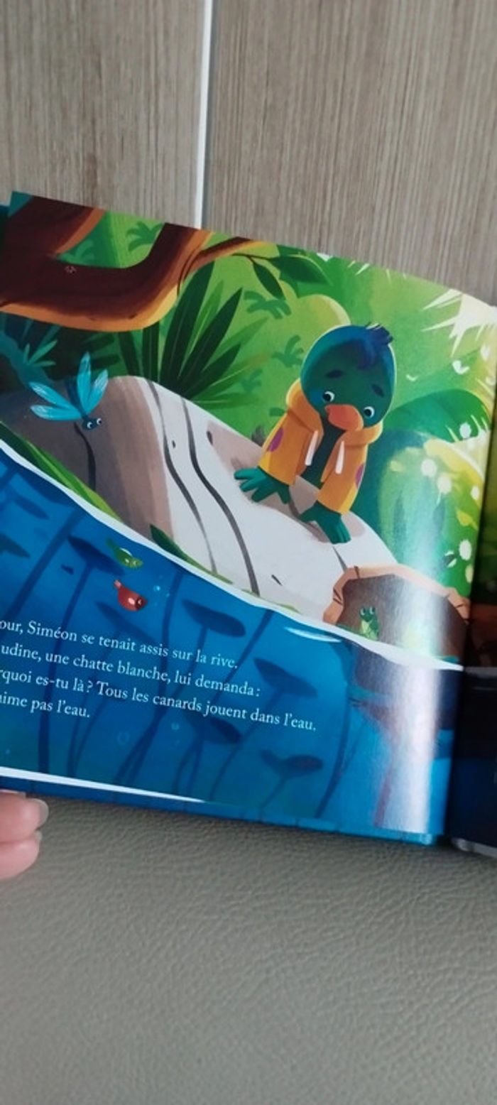 Le canard qui craignait l'eau - photo numéro 2