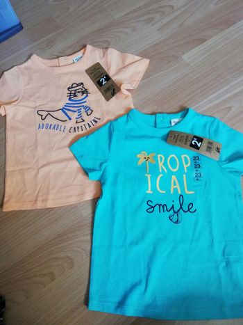 Lot de 2 tee shirt été 23 mois