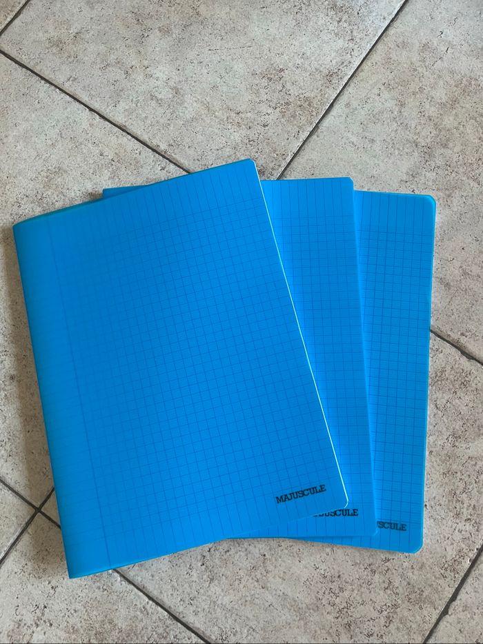 Lot de 4 cahiers grand format