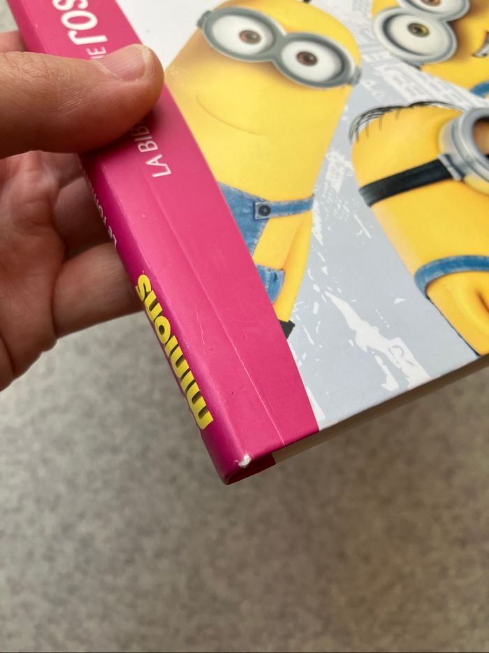 Les minions: le roman du film (1€50) - photo numéro 5