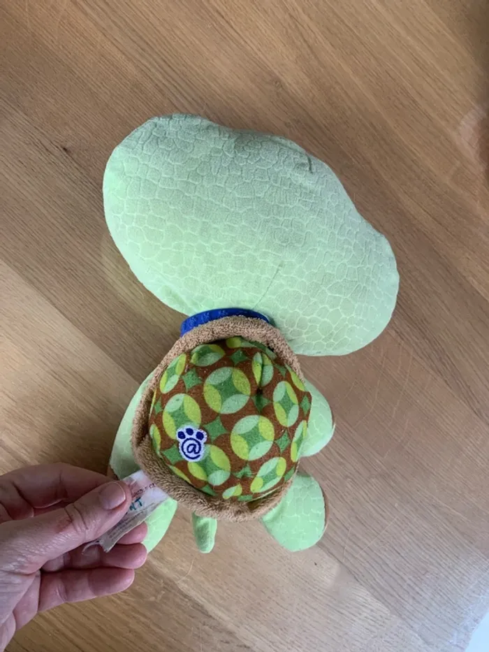 Tortue - photo numéro 3