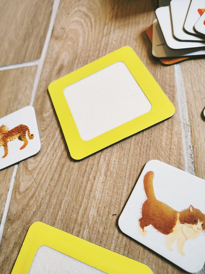 👋Coffret Montessori les cartes sensorielles marque Nathan - photo numéro 3