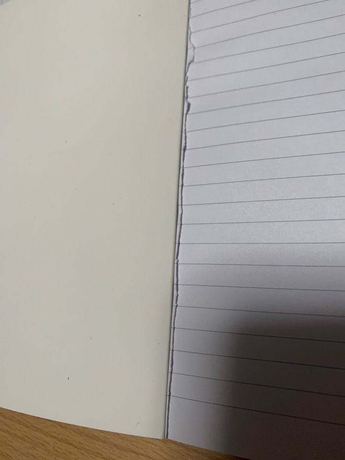 Livre pour écrire - photo numéro 4