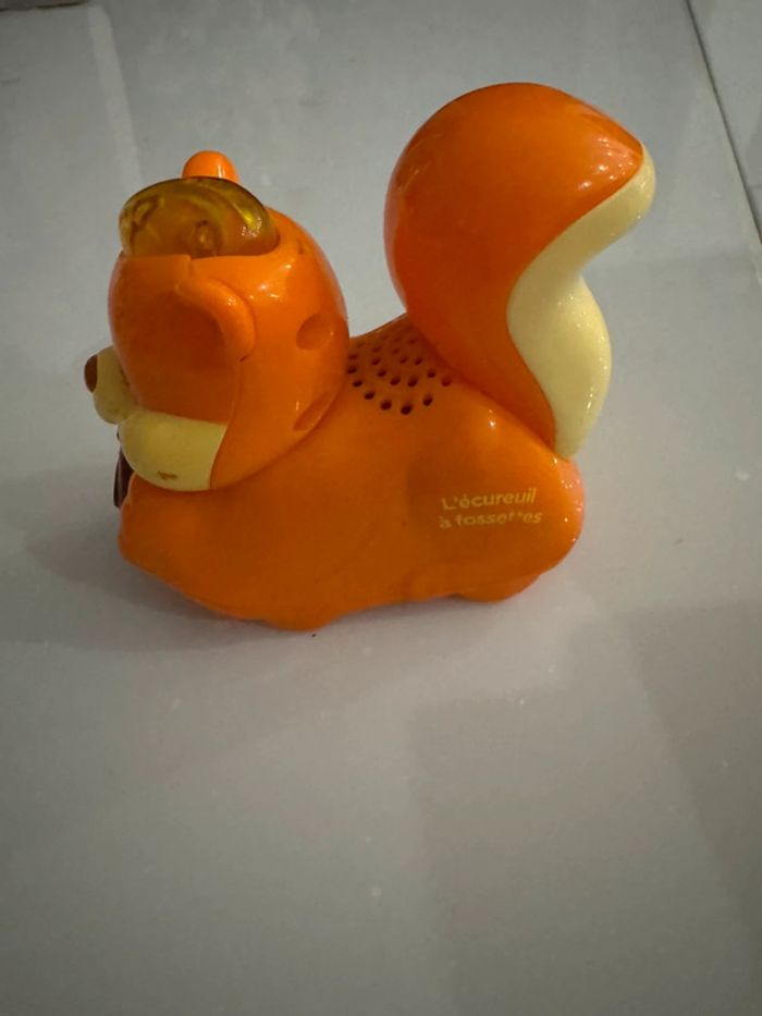 Tut tut animaux écureuil - photo numéro 2