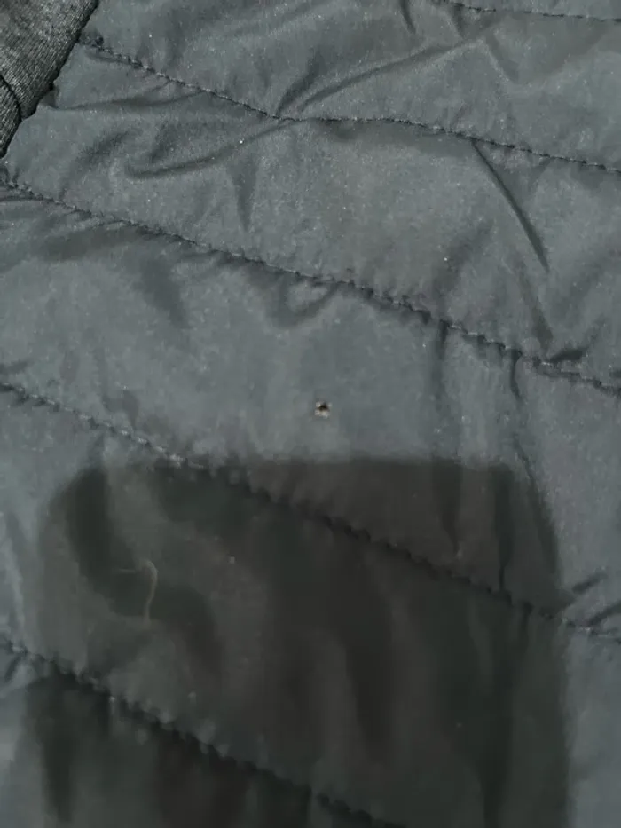 Veste coupe-vent - photo numéro 4
