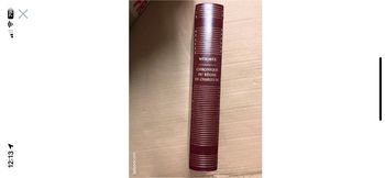 chronique du règne de charles ix de Merimée