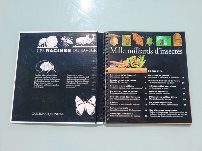 🦗 Mille Milliards d'insectes 🪳livre animé Gallimard Jeunesse (73) - photo numéro 3