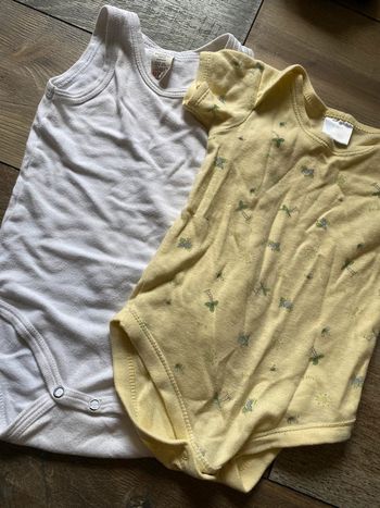 Lot de 2 bodies 12 mois