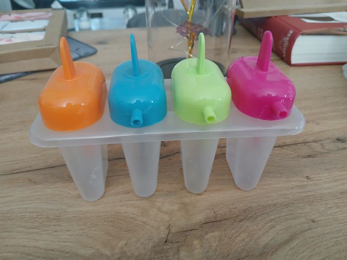 MOULE POUR GLACE MAISON