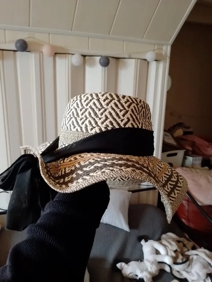 Chapeau - photo numéro 7
