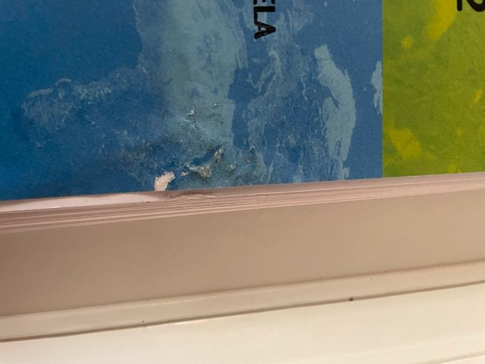 Le corps humain et l’éducation à la santé cycle 3 éditions sed - photo numéro 8