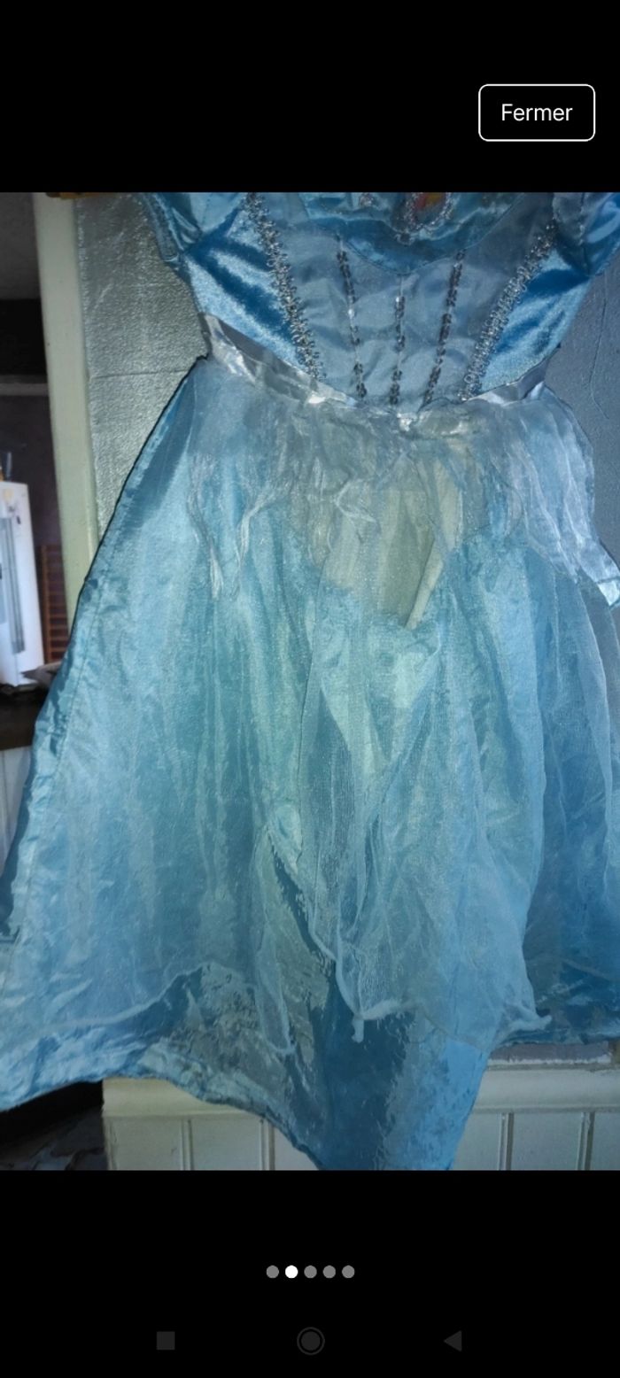 Robe déguisement e85 - photo numéro 2