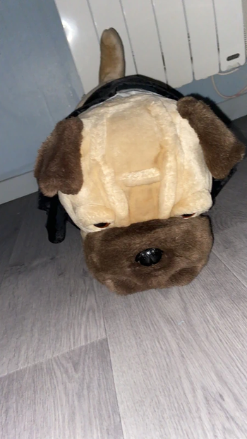 Grosse peluche 