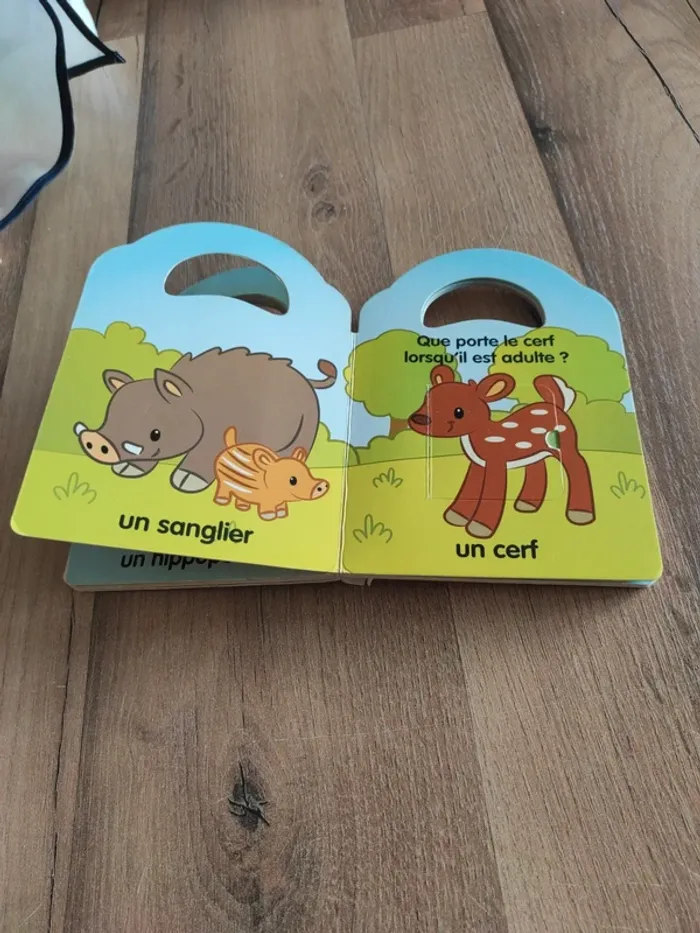 Livre : jouons à cache-cache avec les animaux - photo numéro 14