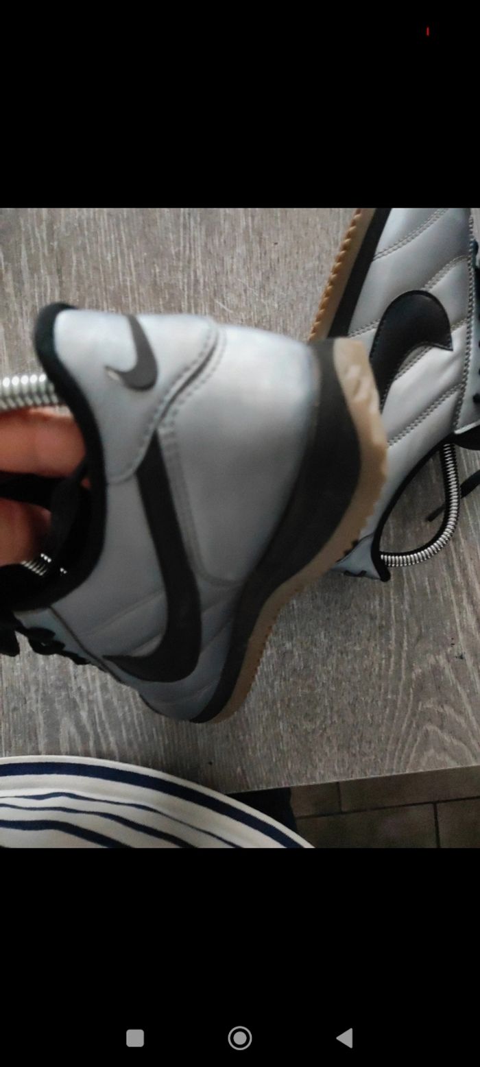 Cortez gris argenté - photo numéro 6