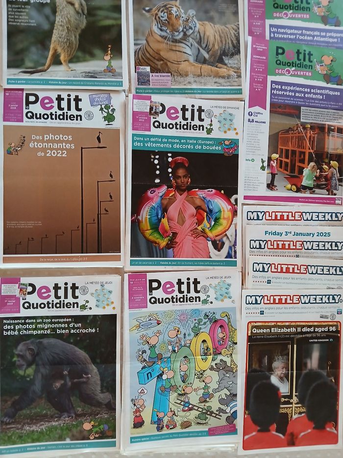 Lot de 120 magazines Petit quotidien - photo numéro 3