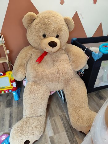 Ours  géant peluche