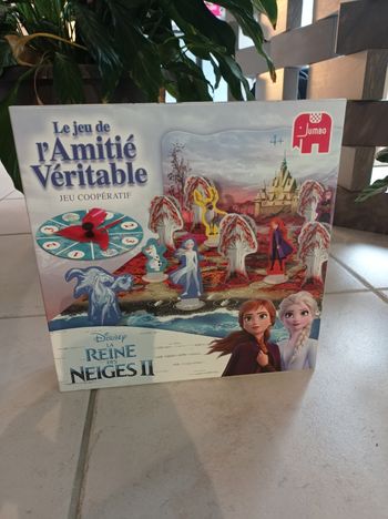Jeu Reine des neiges, le jeu de l'amitié véritable