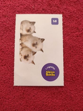 Carte nos amies les bêtes