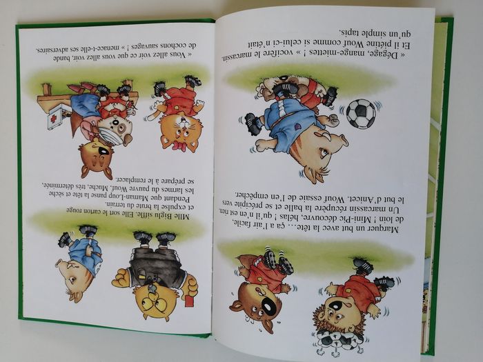 livre mini-loup - photo numéro 4