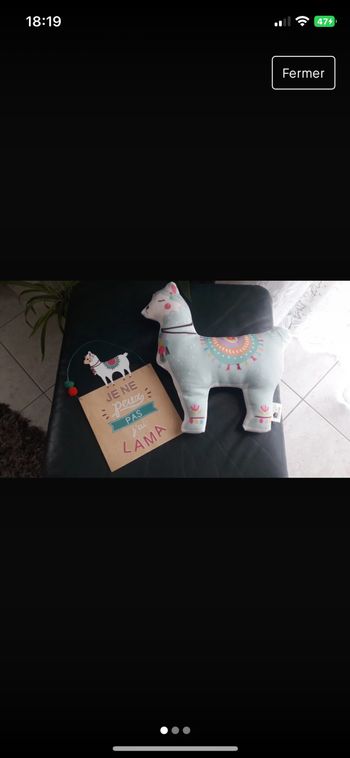 Cadre + peluche Lama