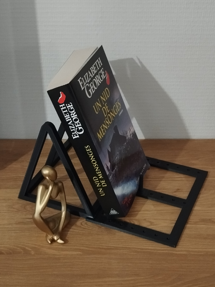 Roman Un nid de mensonges de Elizabeth George - photo numéro 2