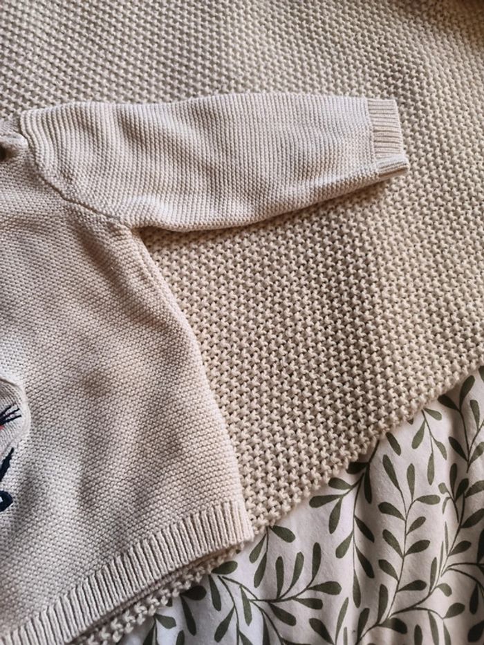 Pull chat - photo numéro 3