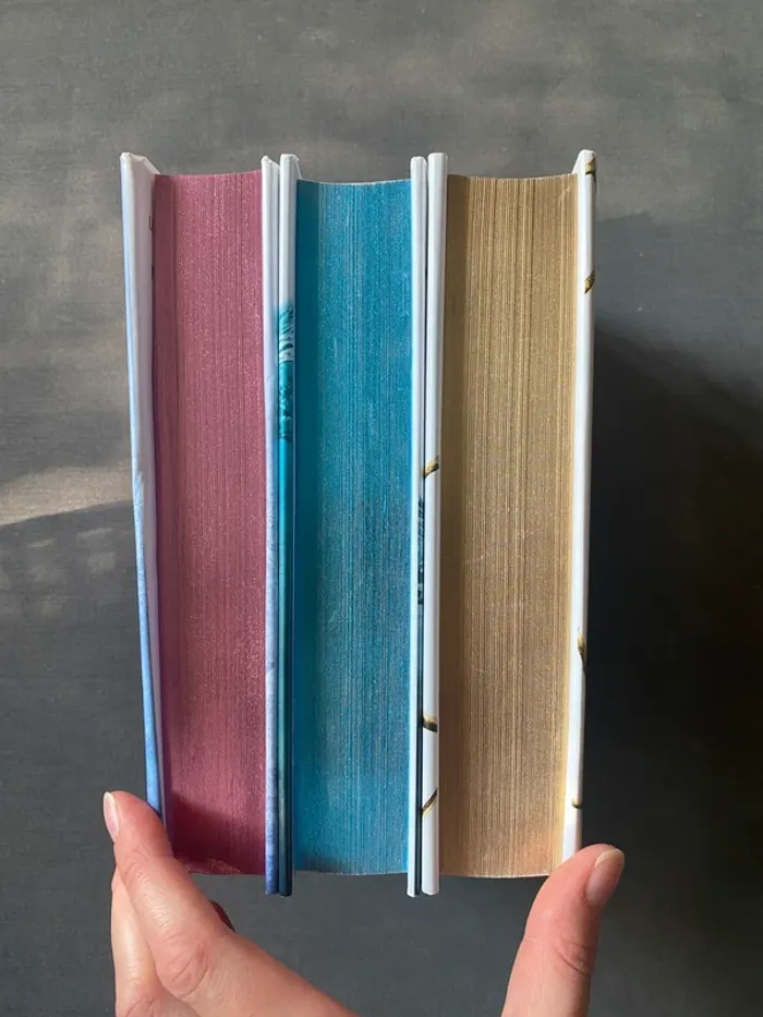 Trilogie le prince cruel holly black collector - photo numéro 6