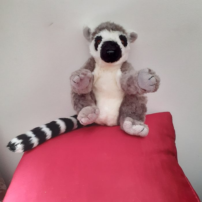 Peluche Bébé Maki  Catta