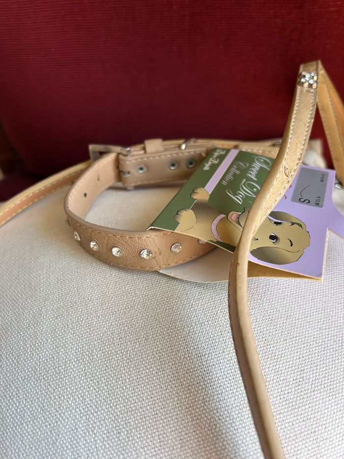 Ensemble accessoires chien - photo numéro 9