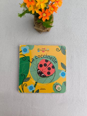 Livre La coccinelle Amaterra