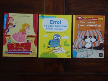 Lot de 3 livres premières lectures CP niveau 2